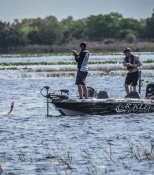 Lake Toho On the Water
